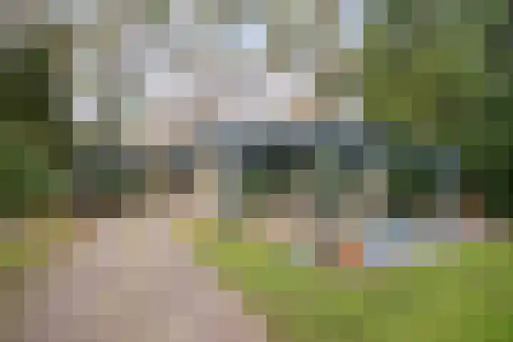 Heggenwikke 5 Norg thumbnail 16
