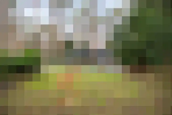Heggenwikke 5 Norg thumbnail 17
