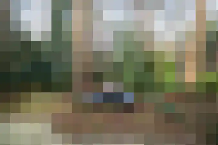 Heggenwikke 5 Norg thumbnail 18