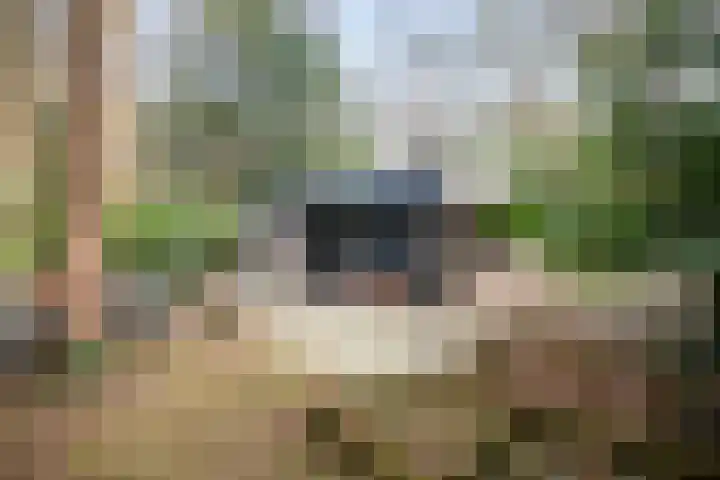 Heggenwikke 5 Norg thumbnail 19