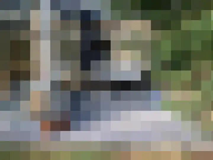Heggenwikke 5 Norg thumbnail 21