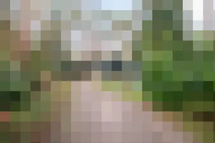 Heggenwikke 5 Norg thumbnail 24