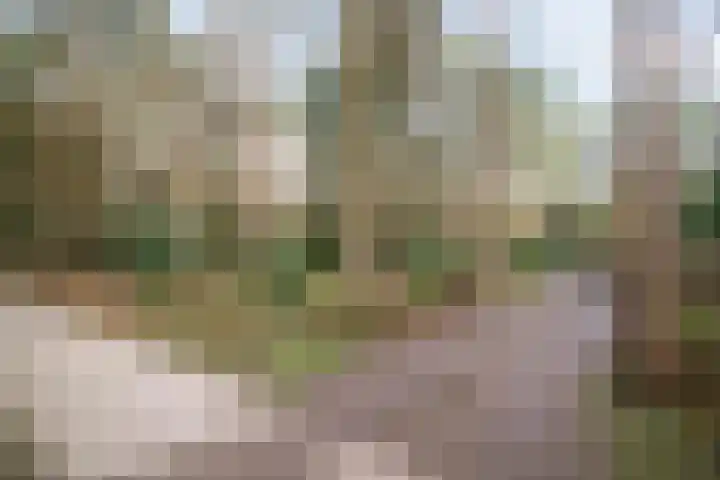 Heggenwikke 5 Norg thumbnail 25