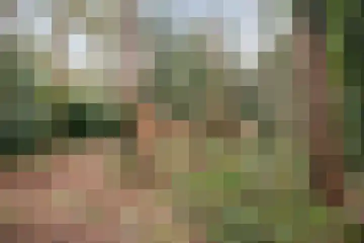 Heggenwikke 5 Norg thumbnail 26