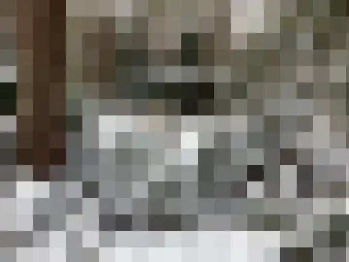 Heggenwikke 5 Norg thumbnail 27