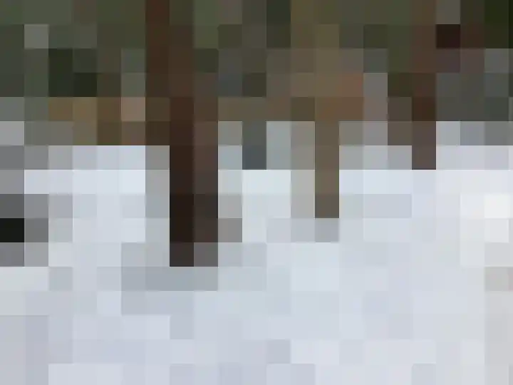 Heggenwikke 5 Norg thumbnail 28