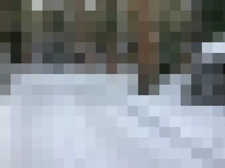 Heggenwikke 5 Norg thumbnail 29
