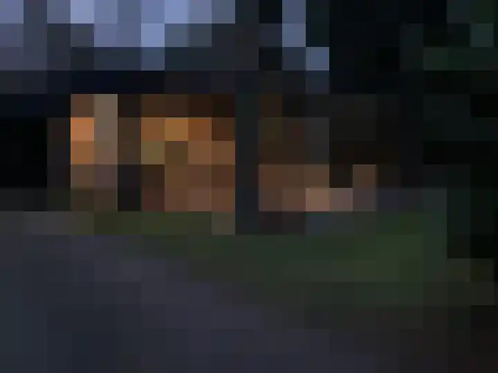Heggenwikke 5 Norg thumbnail 30