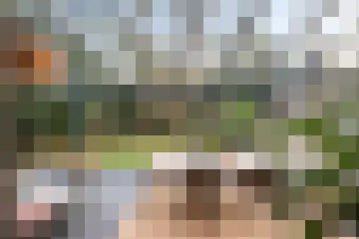 Heggenwikke 5 Norg thumbnail 5