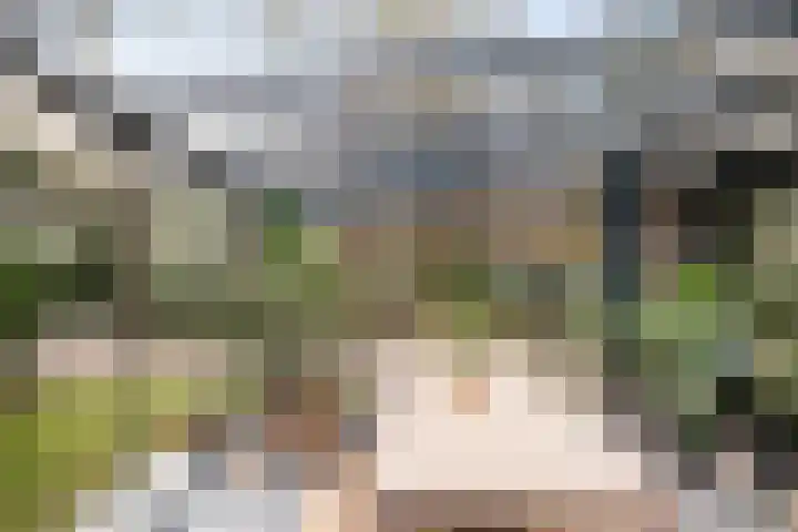 Heggenwikke 5 Norg thumbnail 6
