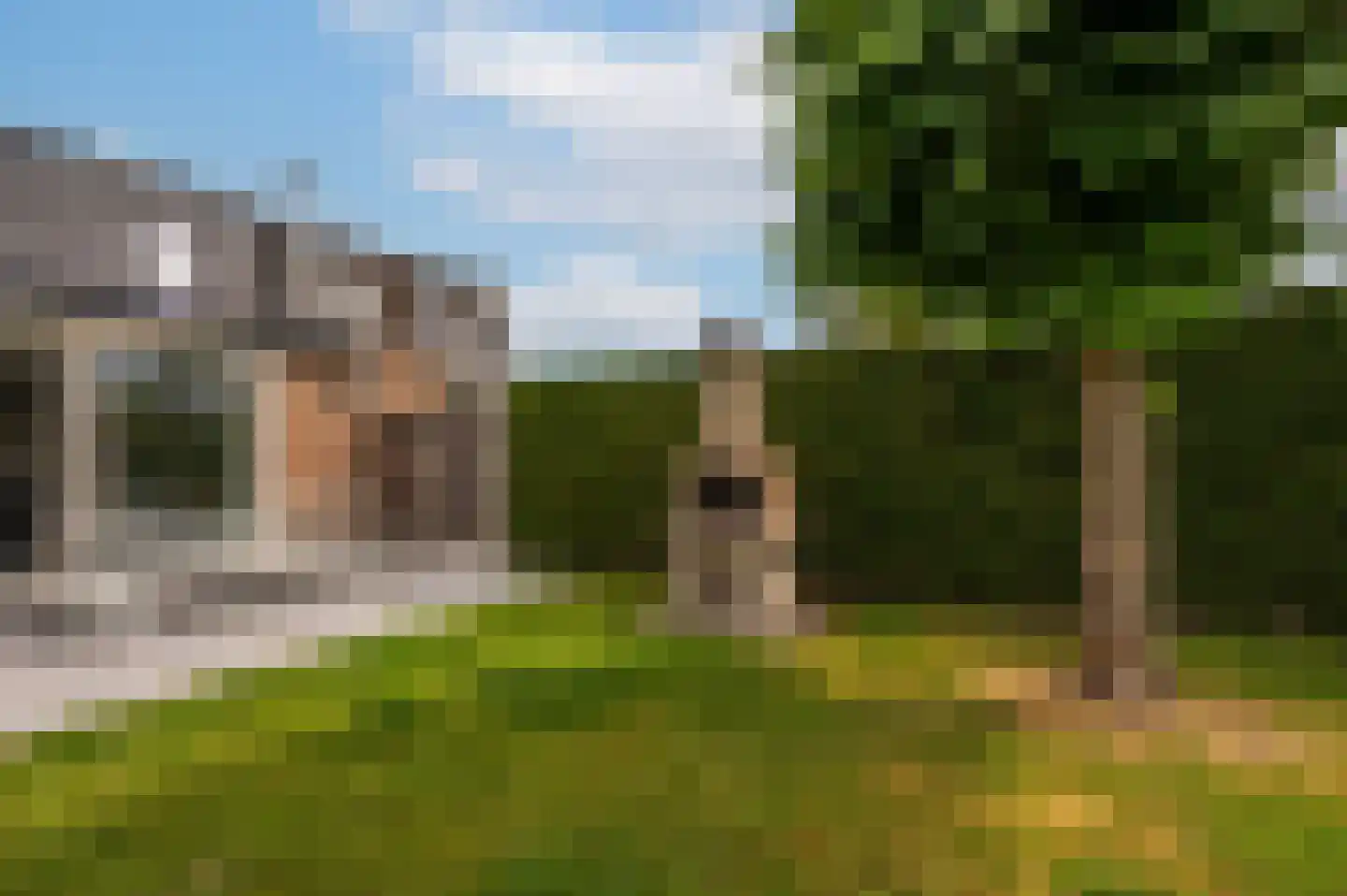 Heggerank 1 A Nieuwvliet thumbnail 11