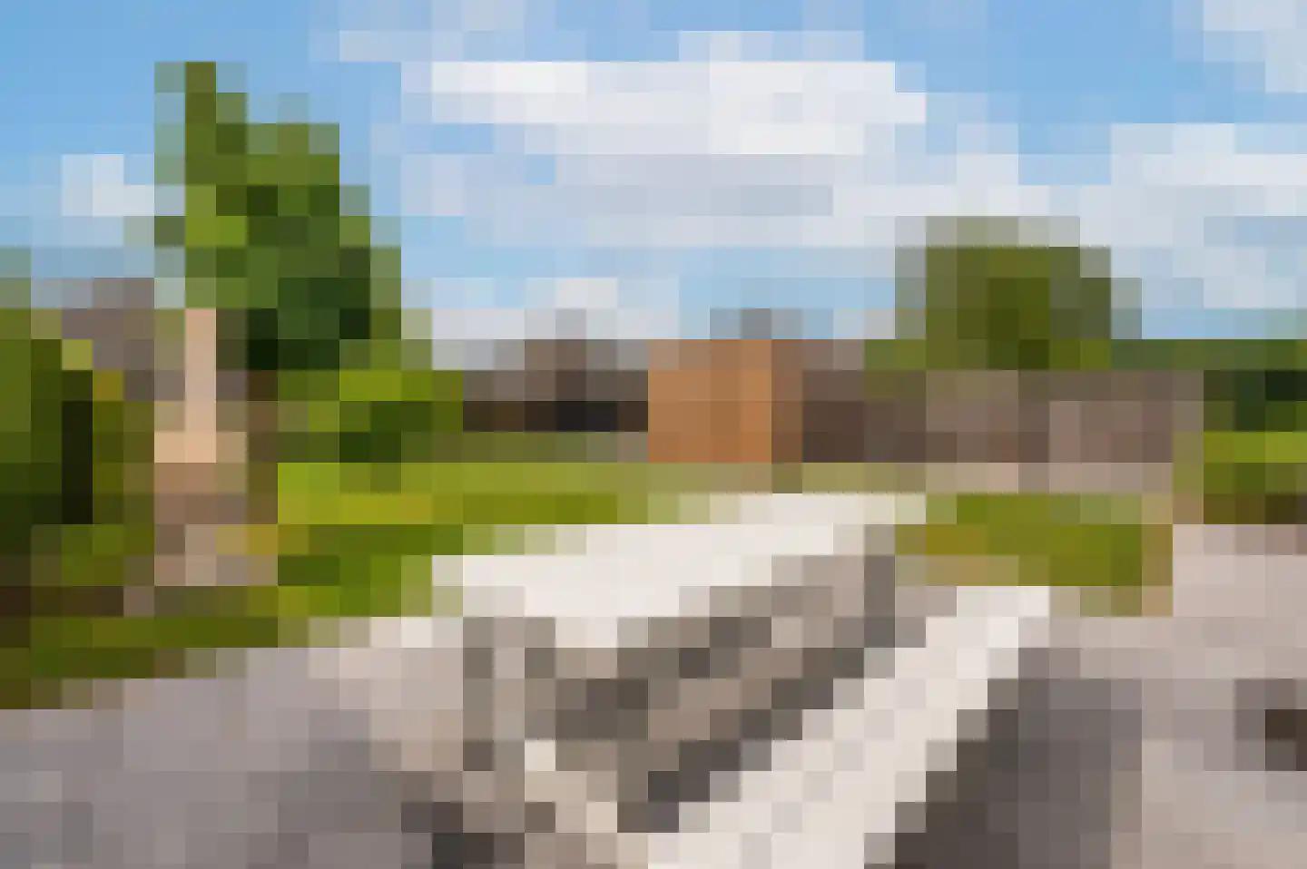 Heggerank 1 A Nieuwvliet foto 2