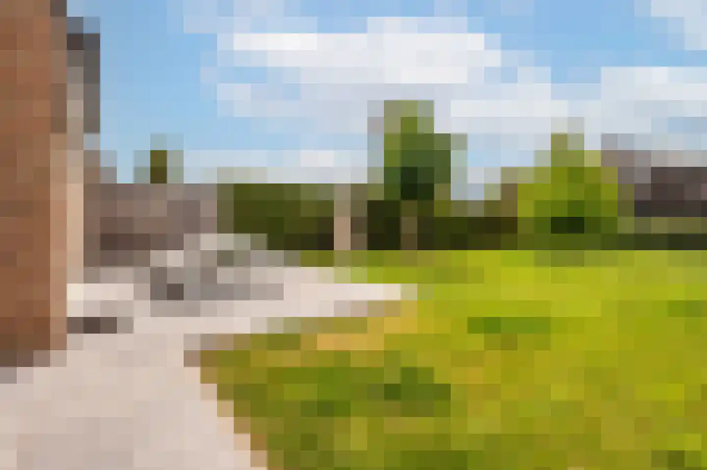 Heggerank 1 A Nieuwvliet thumbnail 26
