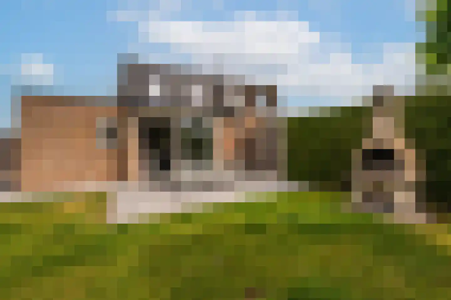 Heggerank 1 A Nieuwvliet thumbnail 27
