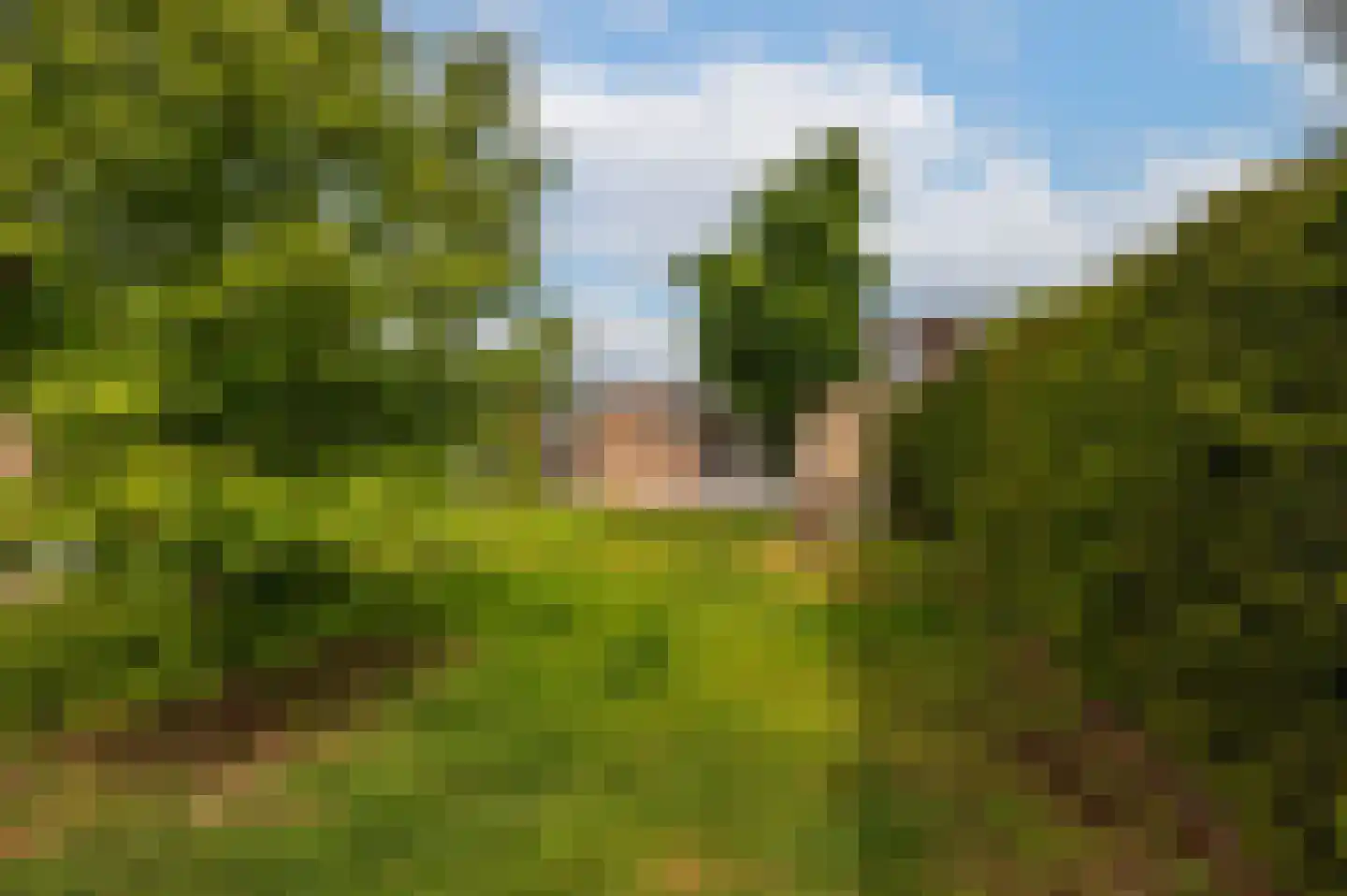 Heggerank 1 A Nieuwvliet thumbnail 28