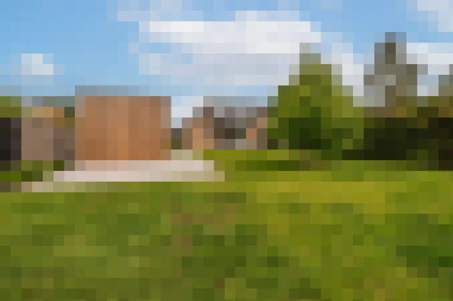 Heggerank 1 A Nieuwvliet thumbnail 29