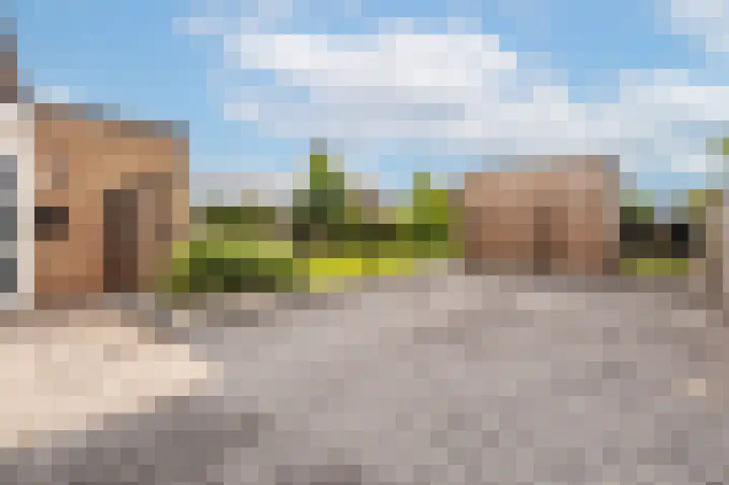 Heggerank 1 A Nieuwvliet thumbnail 32