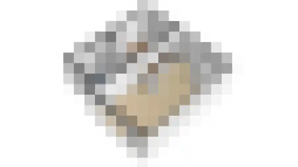 Heggerank 1 A Nieuwvliet thumbnail 34