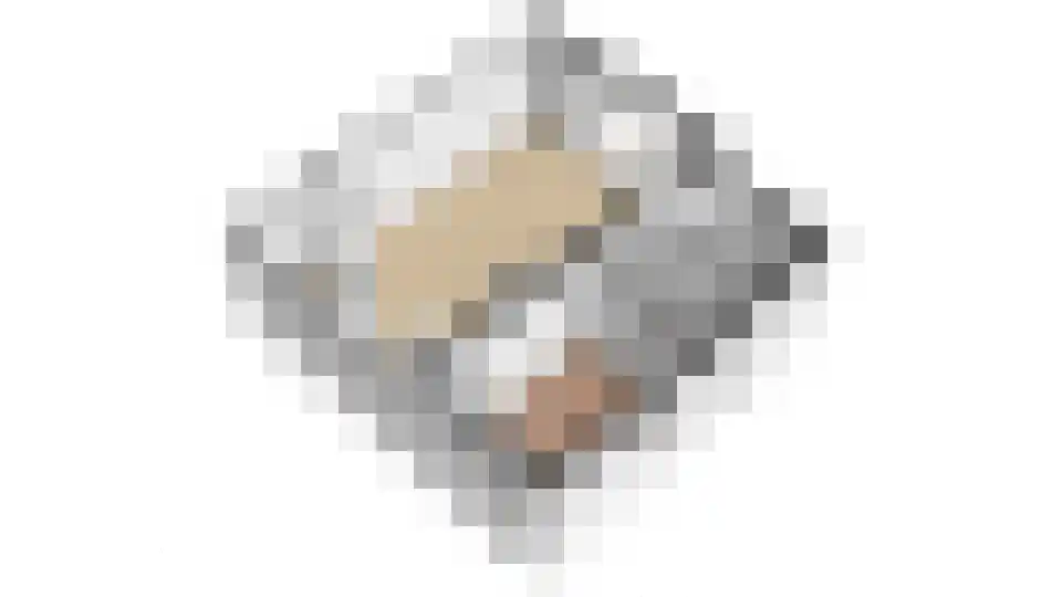 Heggerank 1 A Nieuwvliet thumbnail 35