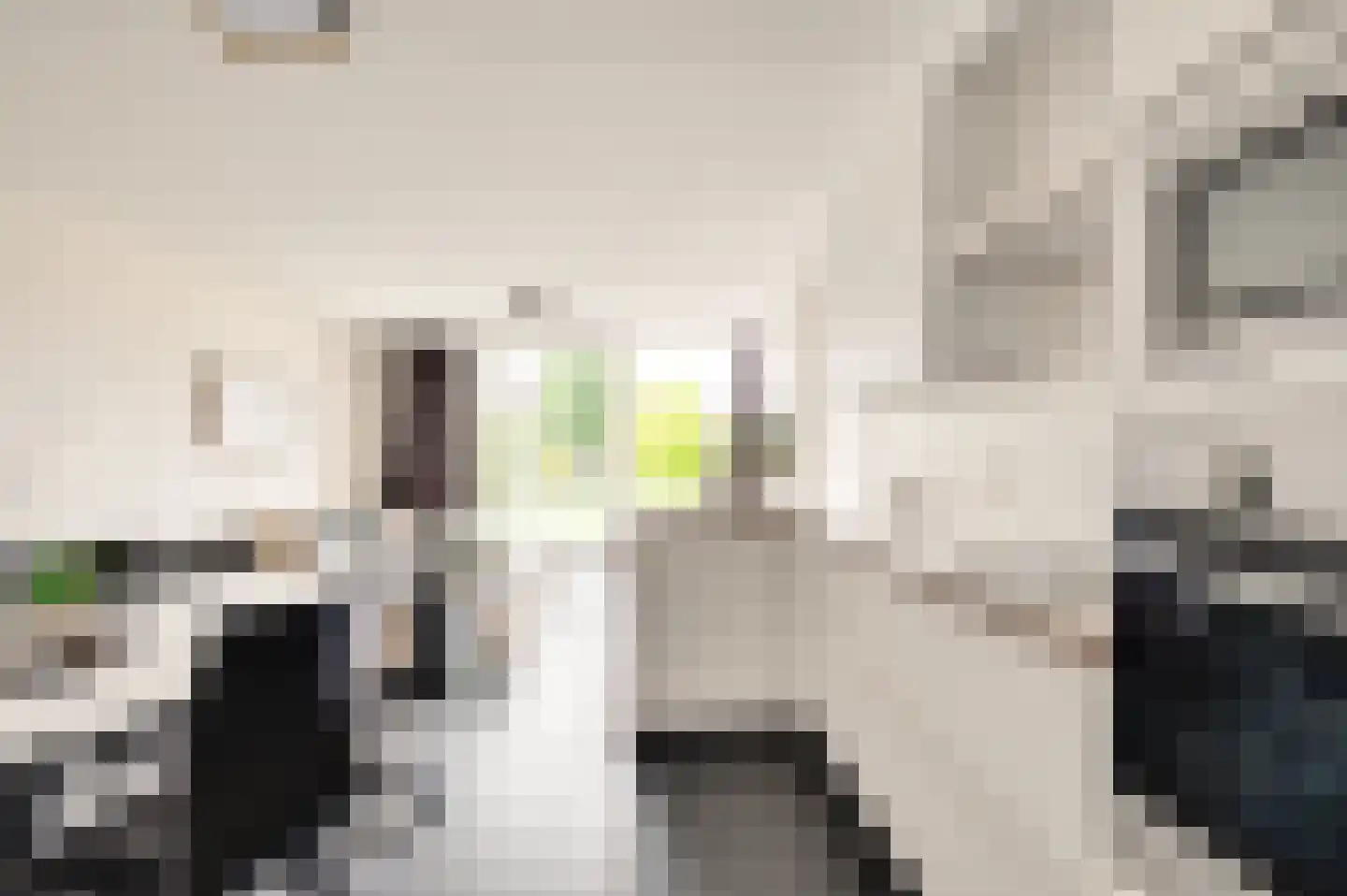 Heggerank 1 A Nieuwvliet thumbnail 6
