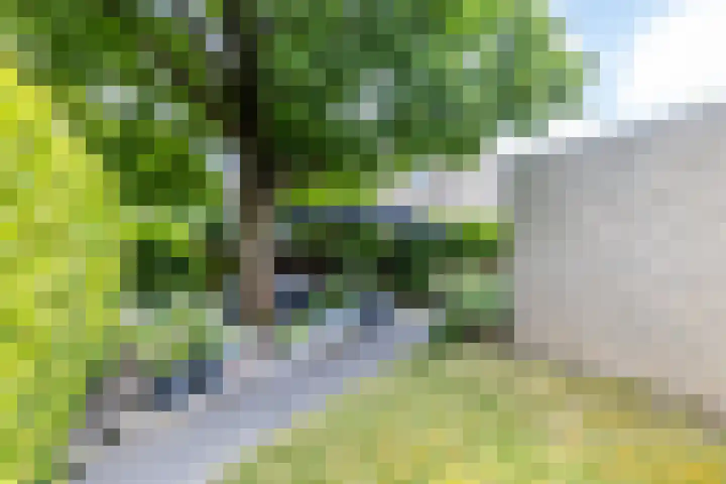 Heggerank 1 Brunssum thumbnail 27