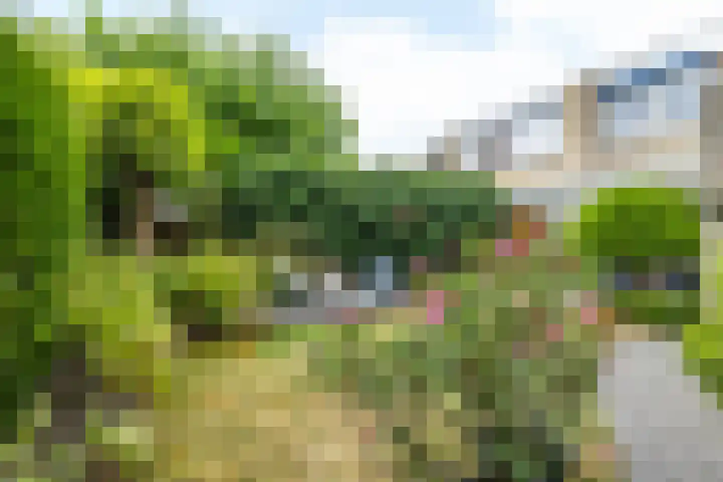 Heggerank 1 Brunssum thumbnail 31