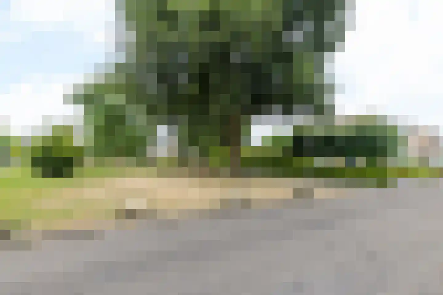 Heggerank 1 Brunssum thumbnail 36