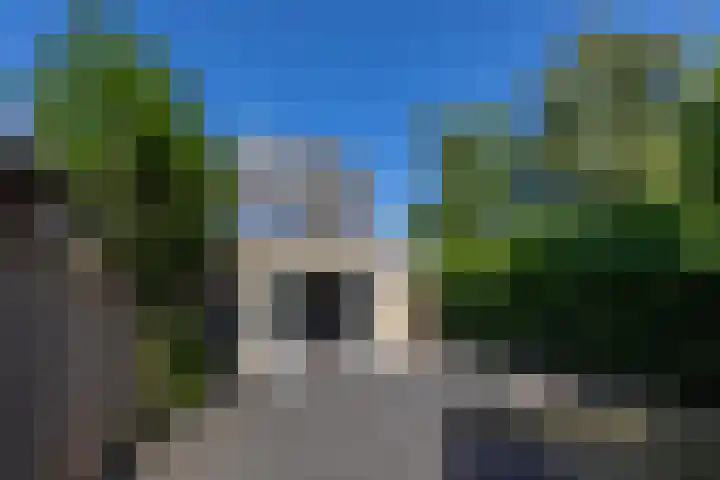 Heggerank 1 Leusden thumbnail 30