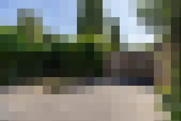 Heggerank 1 Leusden thumbnail 31