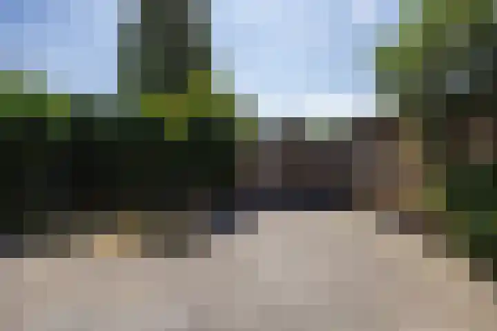 Heggerank 1 Leusden thumbnail 32