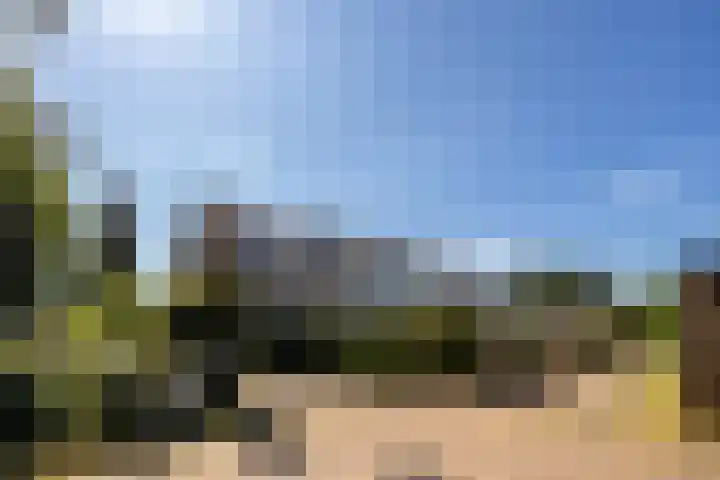 Heggerank 1 Leusden thumbnail 33