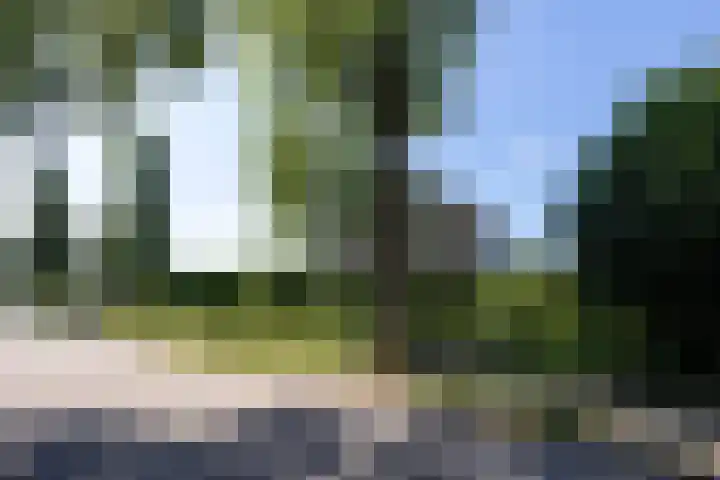 Heggerank 1 Leusden thumbnail 34