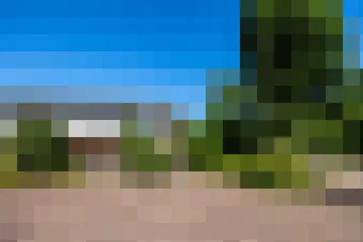 Heggerank 1 Leusden thumbnail 35