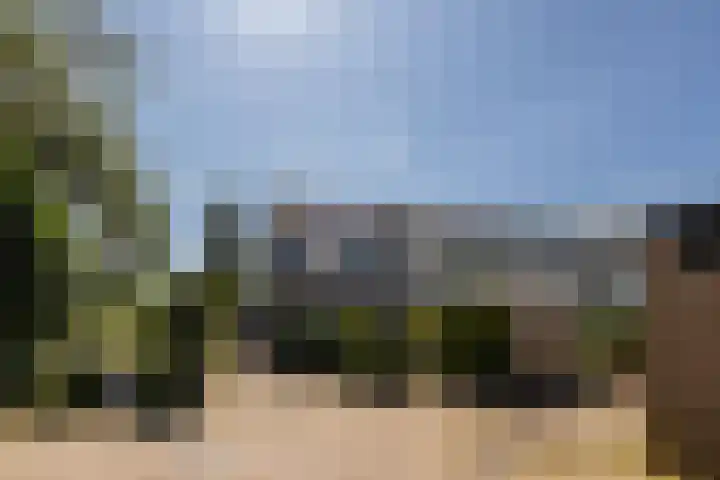 Heggerank 1 Leusden thumbnail 36