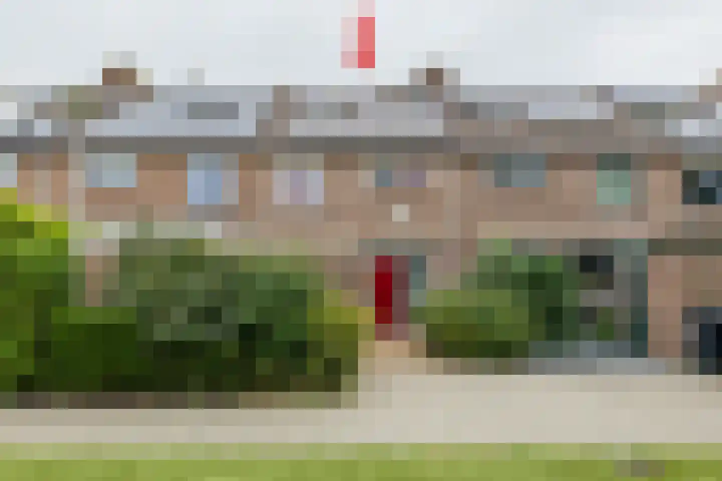 Heggerank 10 Noordwijkerhout