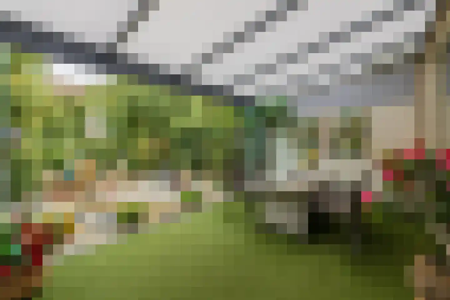 Heggerank 10 Noordwijkerhout thumbnail 14