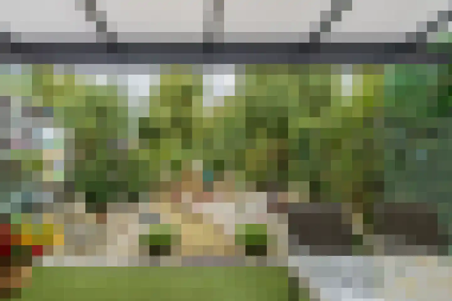 Heggerank 10 Noordwijkerhout thumbnail 15