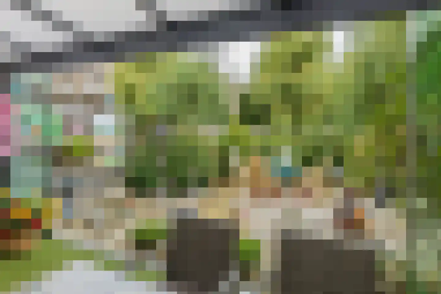 Heggerank 10 Noordwijkerhout thumbnail 16
