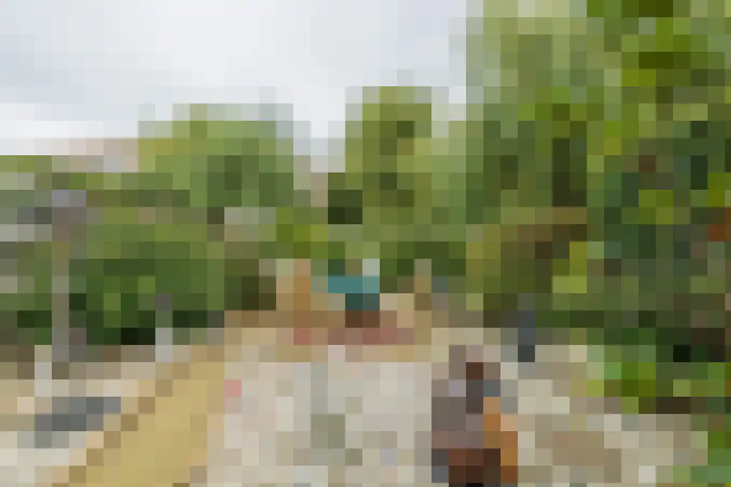 Heggerank 10 Noordwijkerhout thumbnail 18