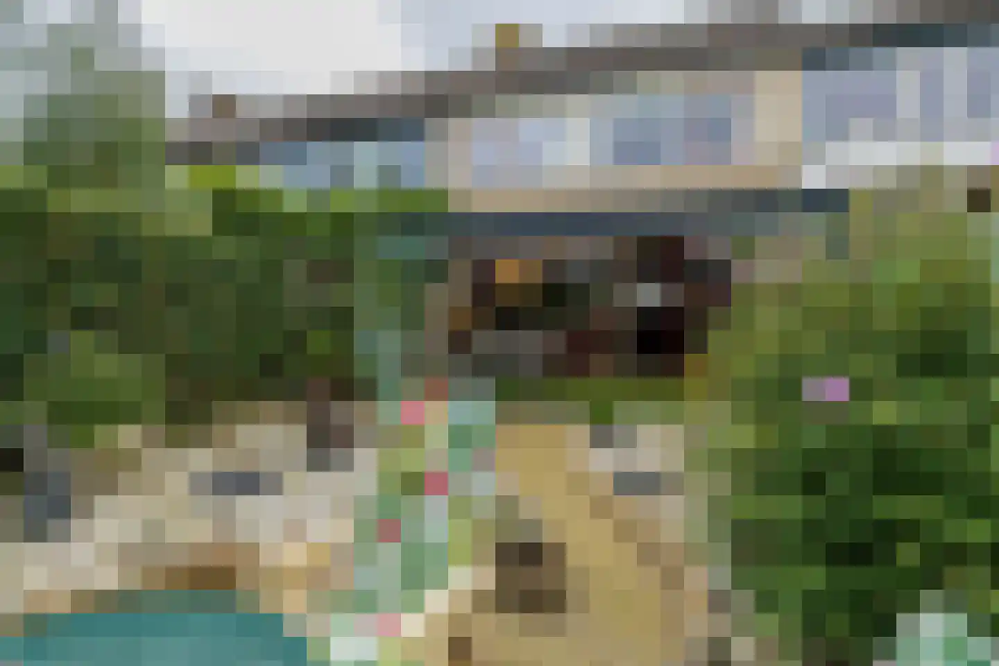 Heggerank 10 Noordwijkerhout thumbnail 19