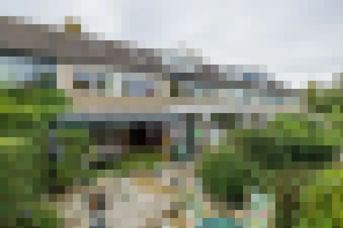 Heggerank 10 Noordwijkerhout thumbnail 21