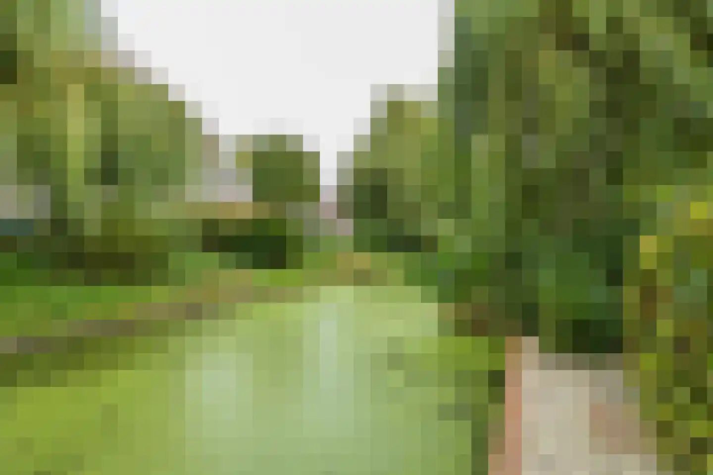 Heggerank 10 Noordwijkerhout thumbnail 23