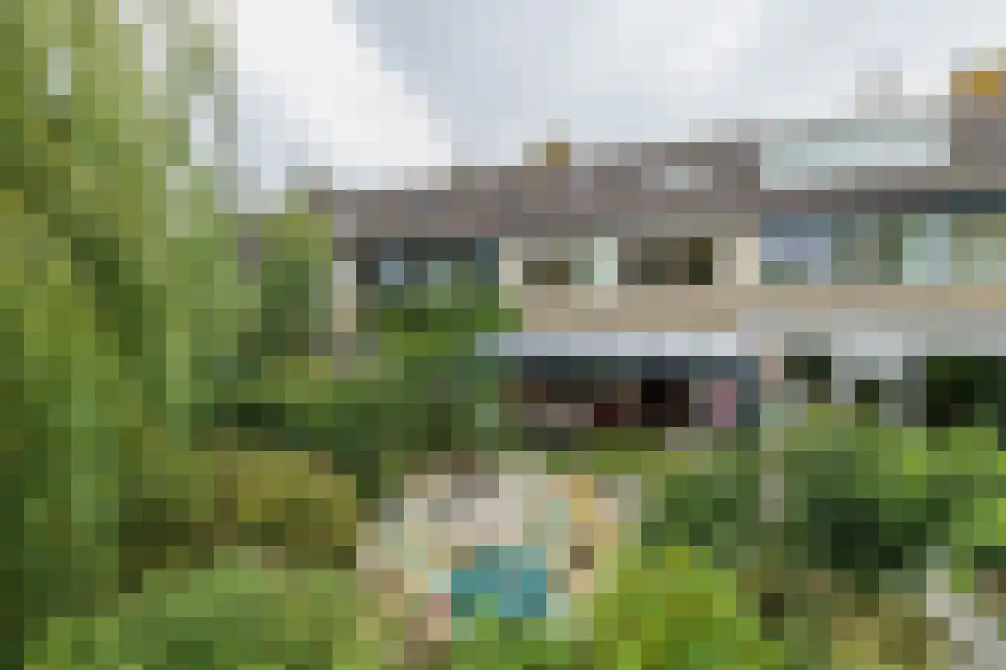 Heggerank 10 Noordwijkerhout thumbnail 24
