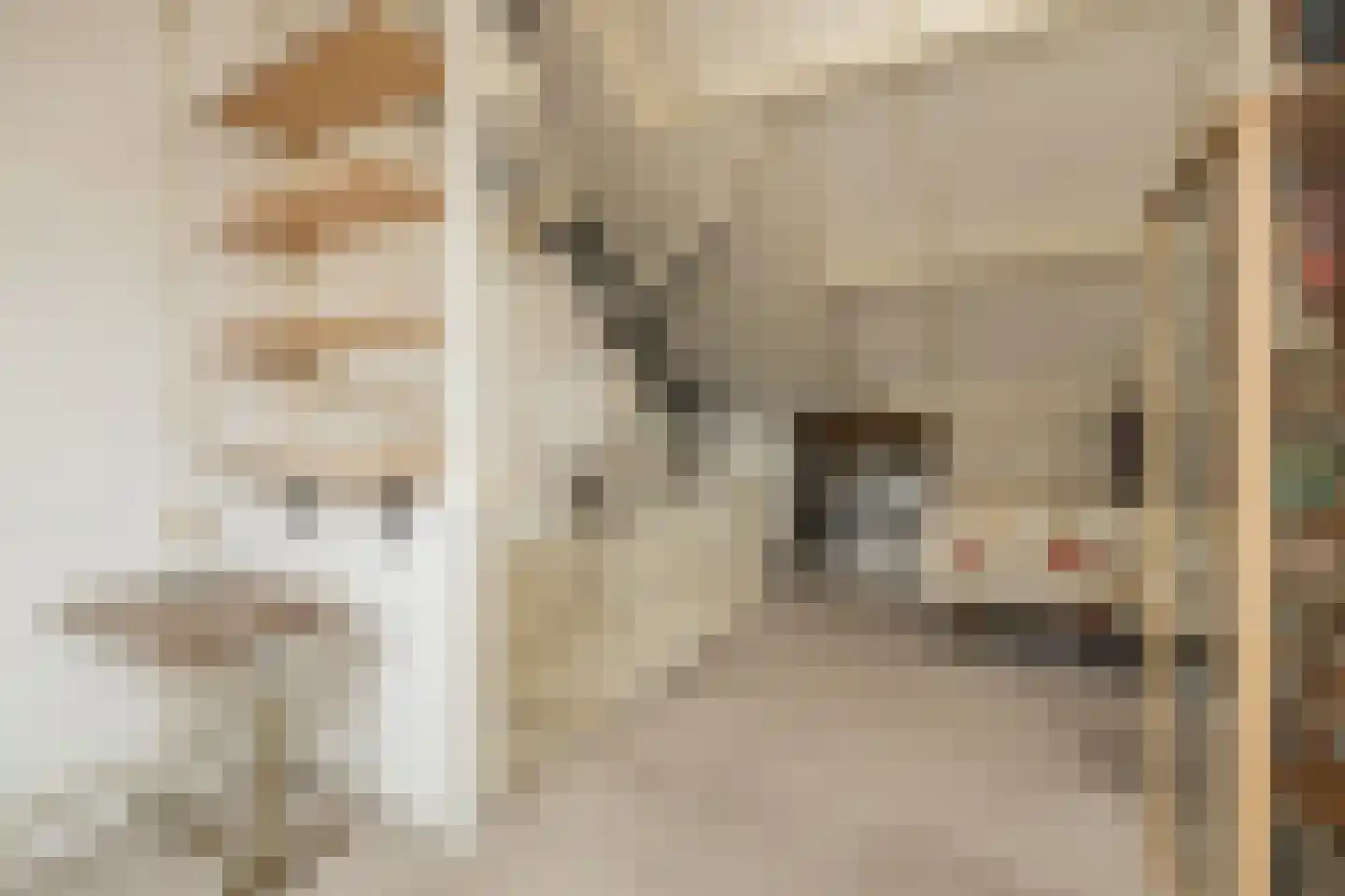 Heggerank 10 Noordwijkerhout thumbnail 39