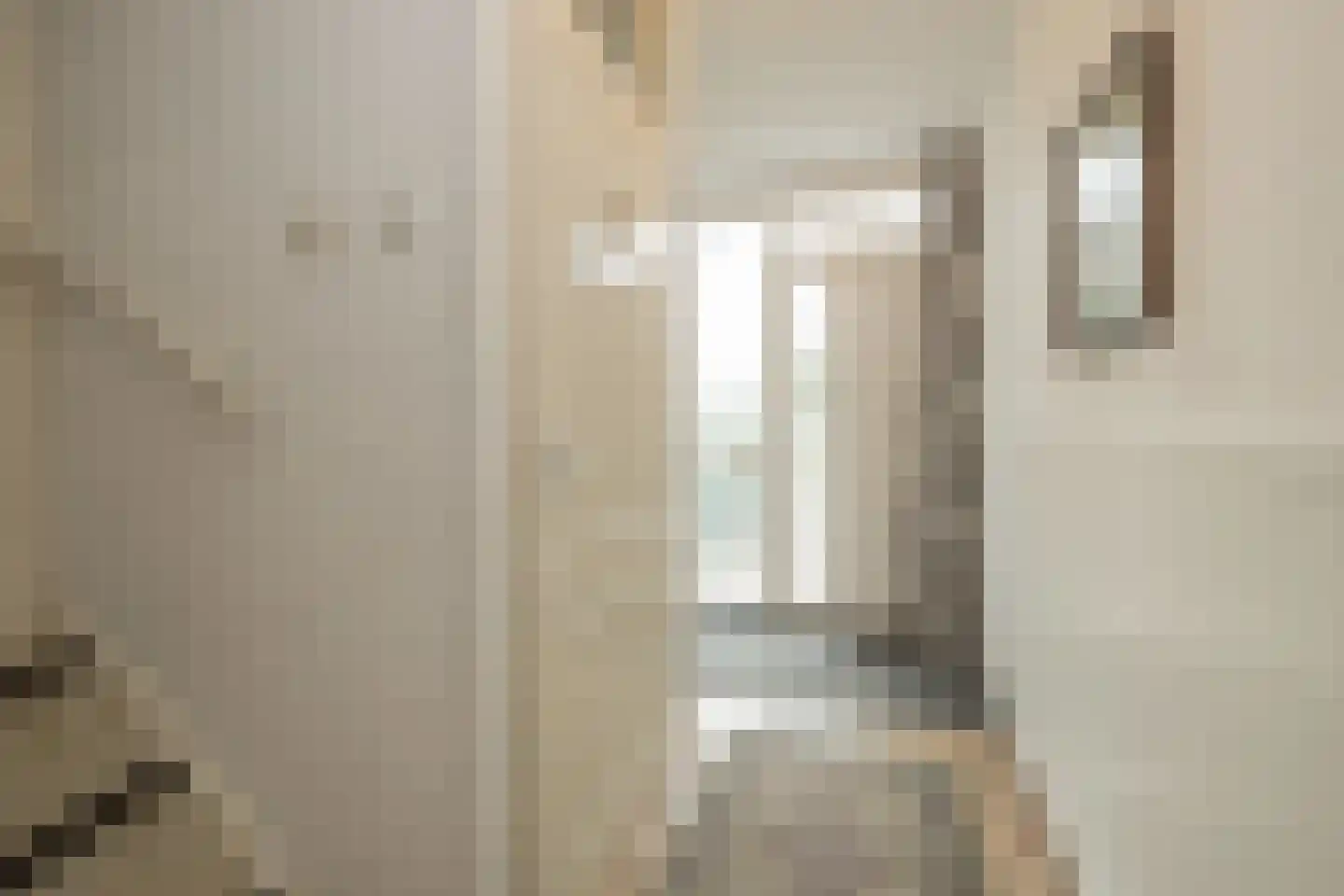 Heggerank 10 Noordwijkerhout thumbnail 5