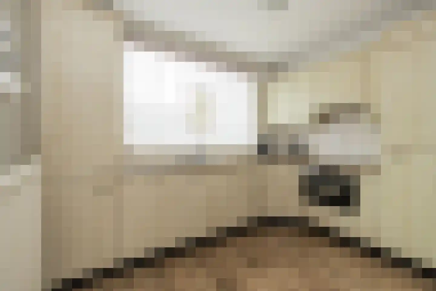 Heggerank 10 Noordwijkerhout thumbnail 7
