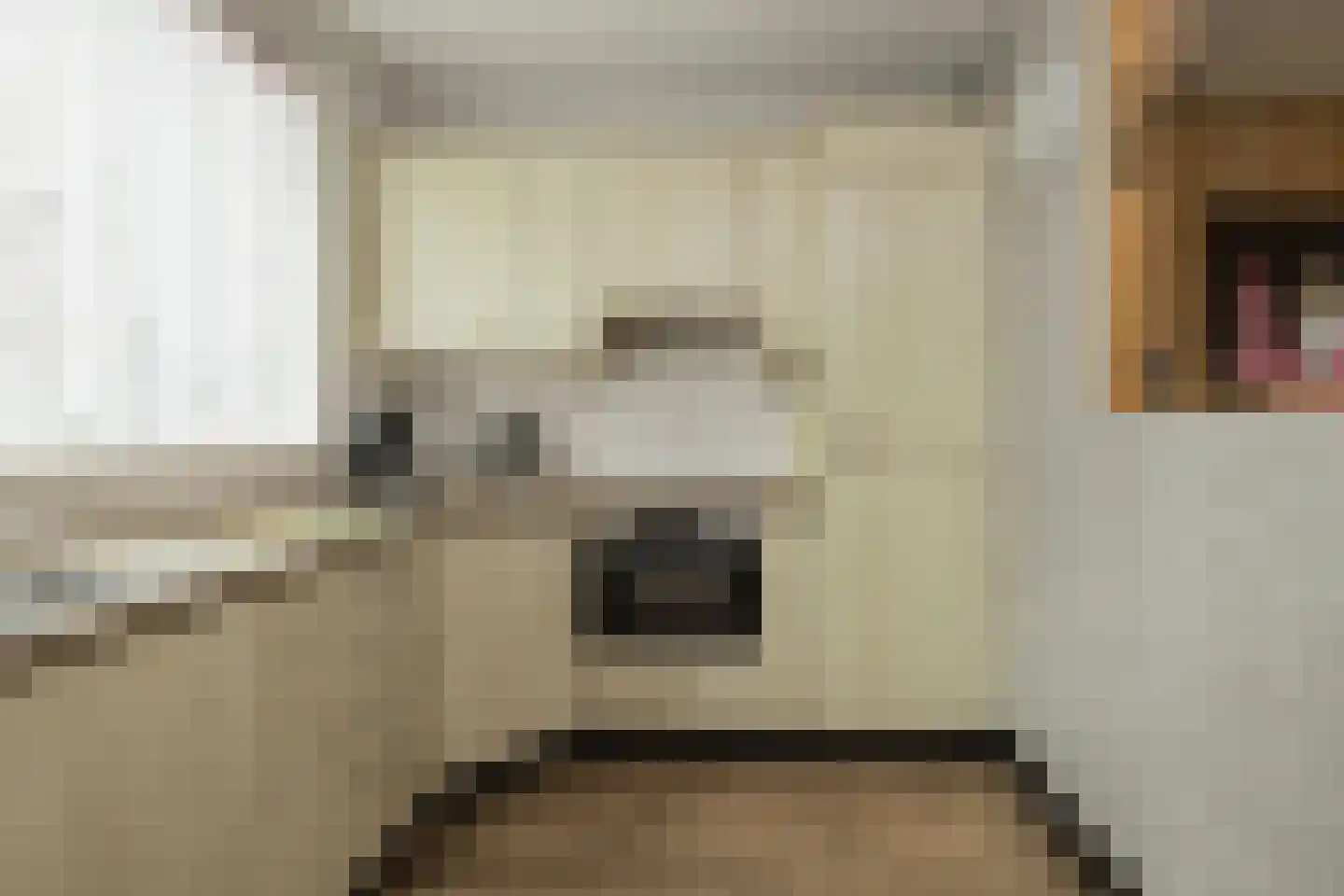 Heggerank 10 Noordwijkerhout thumbnail 8