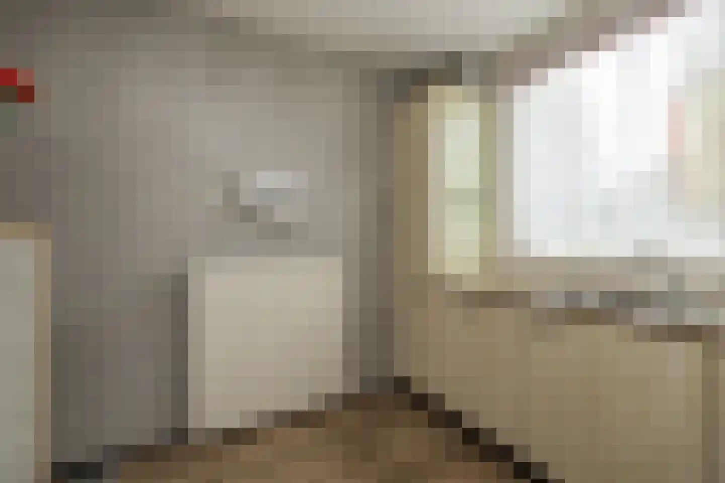 Heggerank 10 Noordwijkerhout thumbnail 9