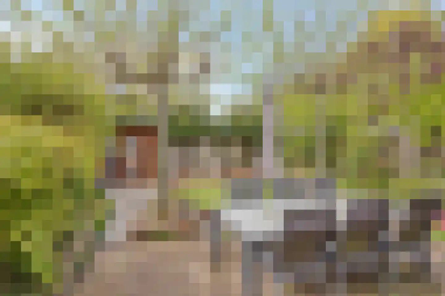 Heggerank 105 Cuijk thumbnail 38