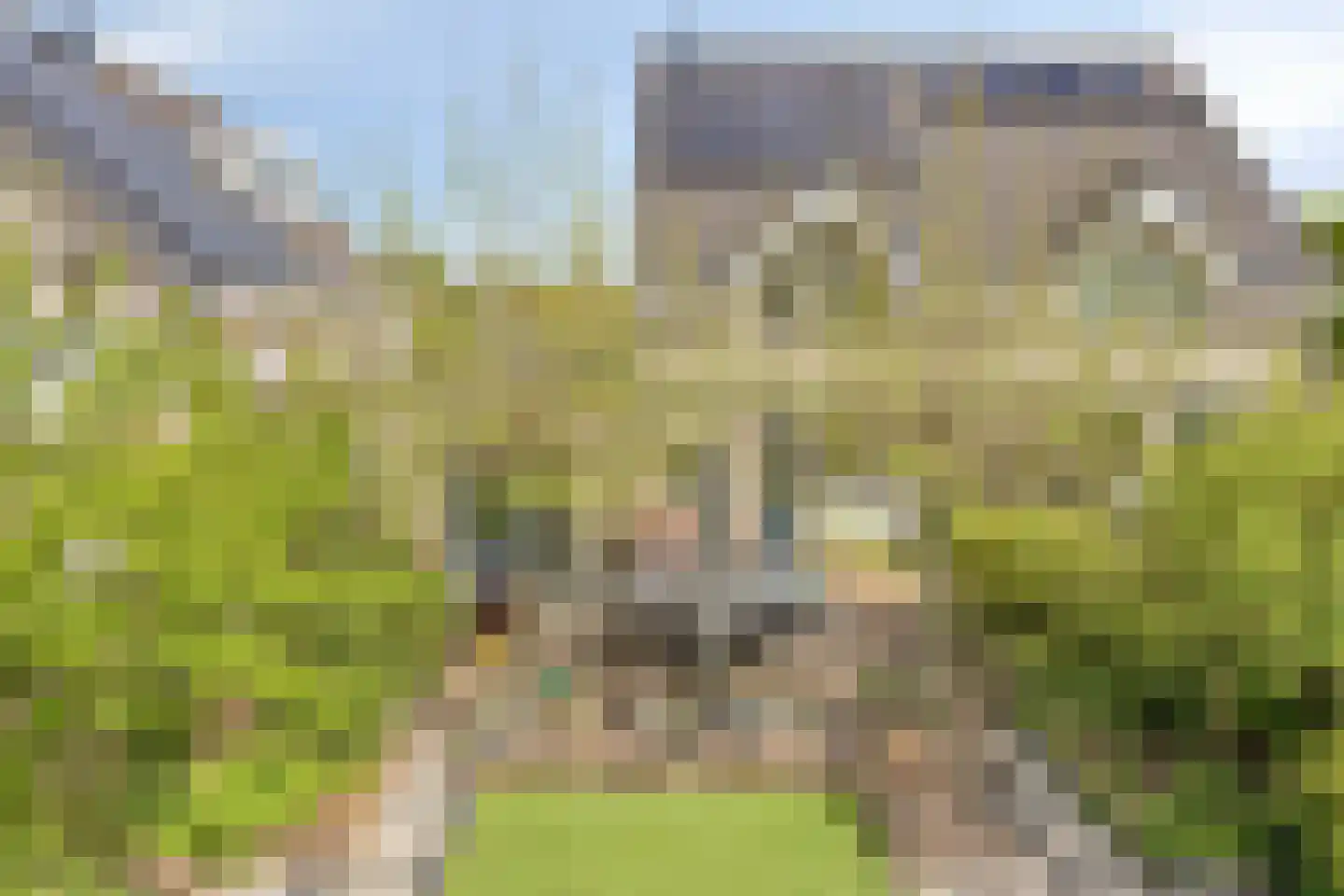 Heggerank 105 Cuijk thumbnail 42